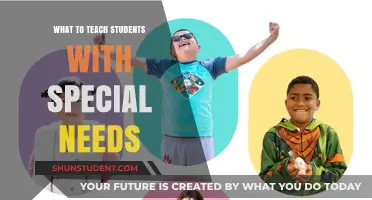 Empowering Special Needs Students: Essential Skills and Strategies for Success