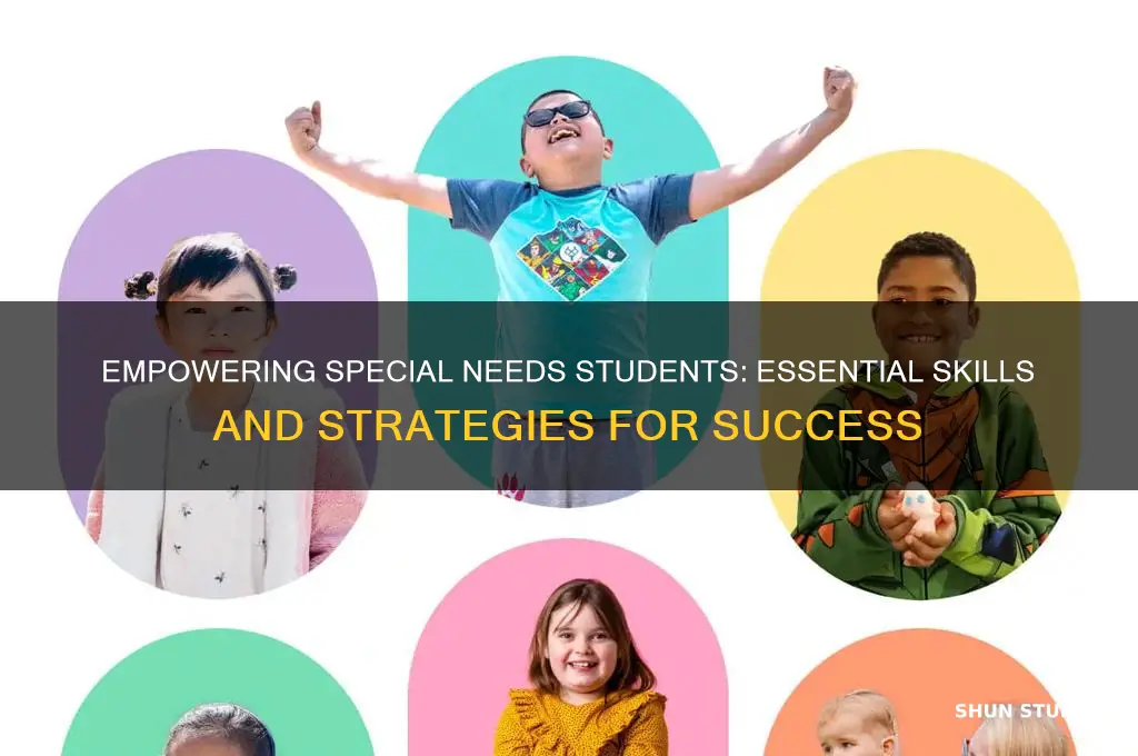 what to teach students with special needs