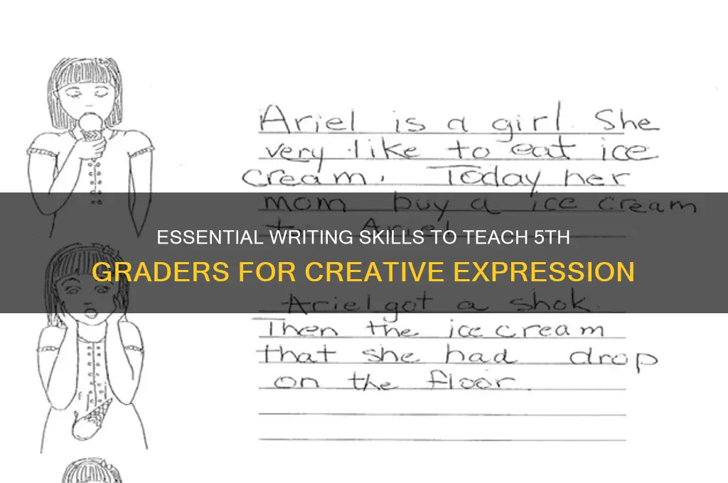 what to teach to 5th writing students