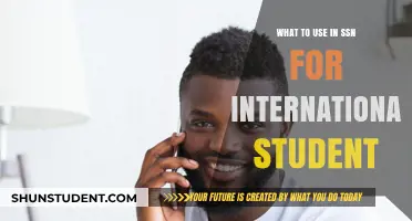 Social Security Number Options for International Students