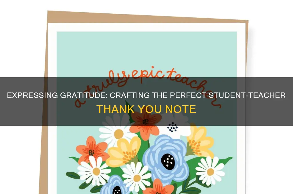 what to write in a student teacher thank you note