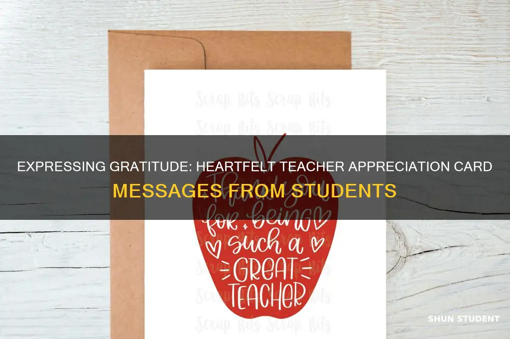 what to write in teacher appreciation card from student