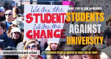 Student Rights: Navigating Legal Support Against University Actions