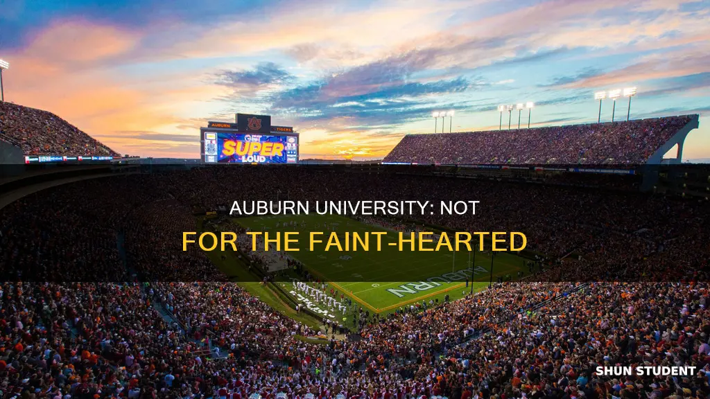 what type of student shouldnt attend auburn university