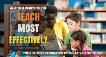 Tailoring Teaching Methods: Identifying Students for Optimal Learning Success