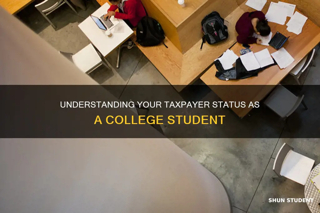 what type of tax payer is a college student