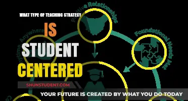 Empowering Learners: Exploring the Essence of Student-Centered Teaching Strategies