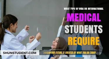 International Medical Students: Visa Requirements and Challenges