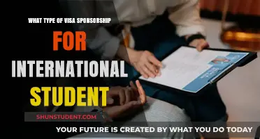 Visa Sponsorship Options for International Students