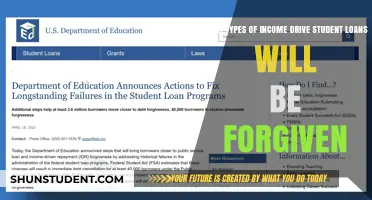 Understanding Income-Driven Repayment Plans for Student Loan Forgiveness