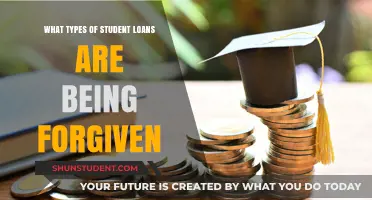 Understanding Student Loan Forgiveness: Which Types Qualify for Cancellation?