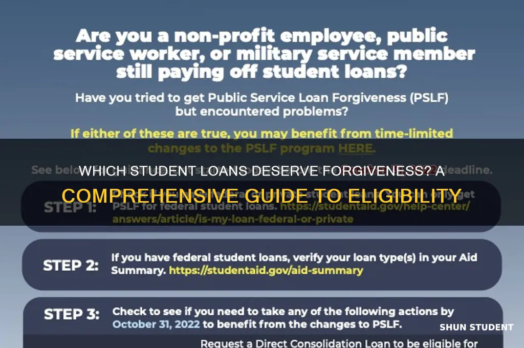 what types of student loans should be forgiven