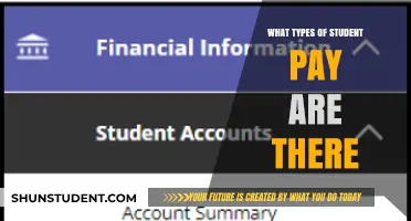 Student Payment Types: Understanding the Different Options