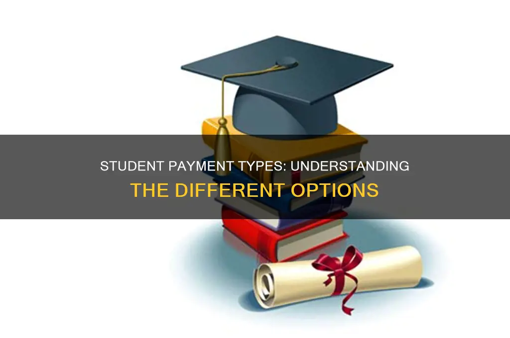 what types of student pay are there