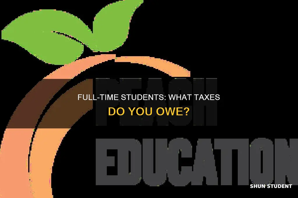 what types of taxes do full-time students need to pay