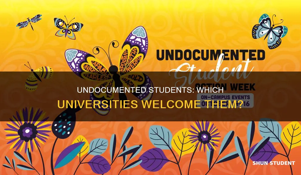 what universities accept undocumented students