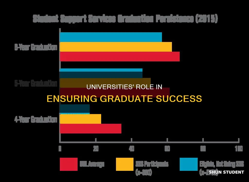 what universities can do to ensure graduate student success