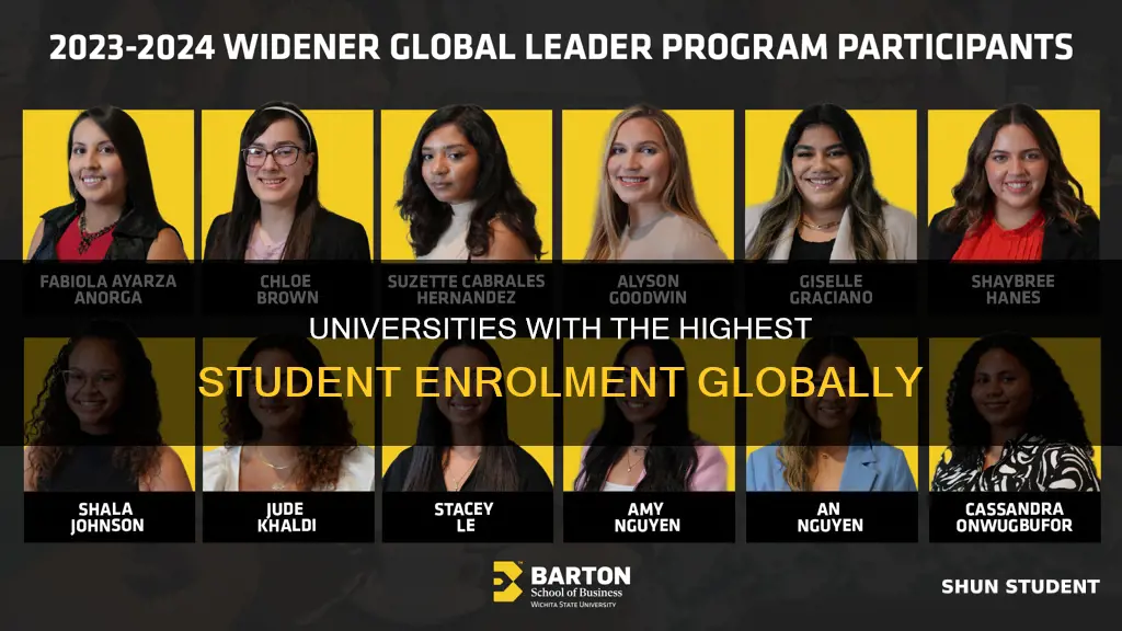what universities have the most students in the world