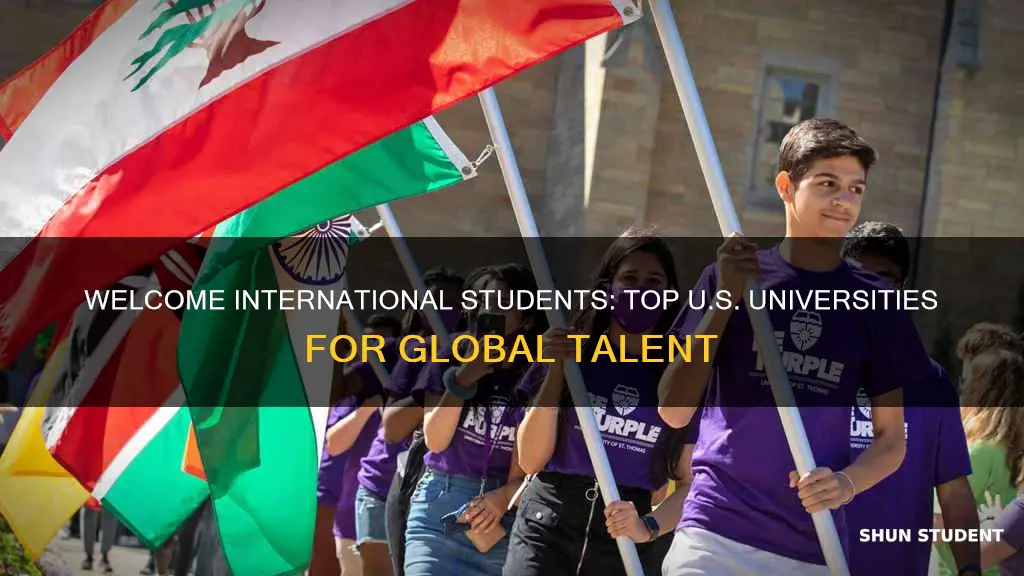 what universities in usa welcomes international students