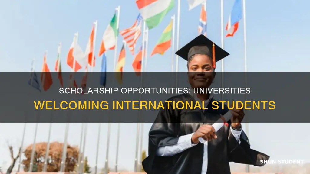 what universities offer scholarships to international students