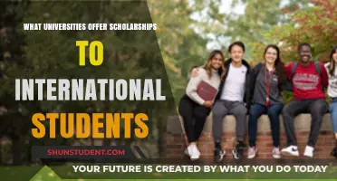 International Student Scholarships: Which Universities Offer Them?