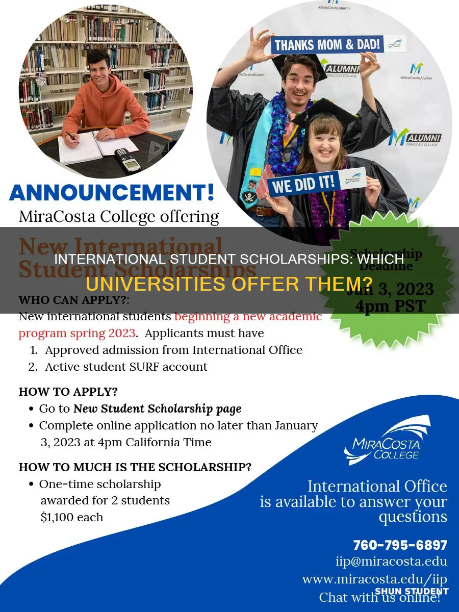 what universities offer scholarships to international students