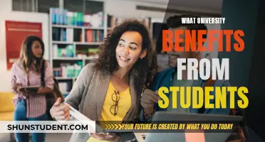 Unlocking University Success: Student Benefits and Perks