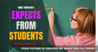 Unveiling University Expectations: A Guide for Students