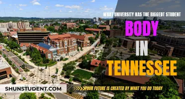 UTK: Tennessee's Largest University Student Body Explored