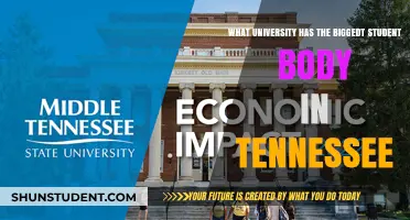 Tennessee's Largest Student Body: Which University Reigns Supreme?