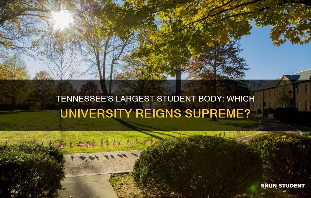 what university has the biggedt student body in tennessee