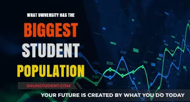Universities with the Largest Student Bodies