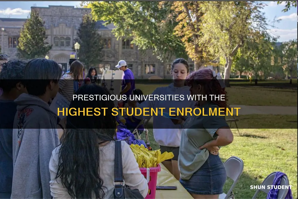 what university has the highest students
