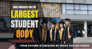 Unveiling the University with the Biggest Student Population