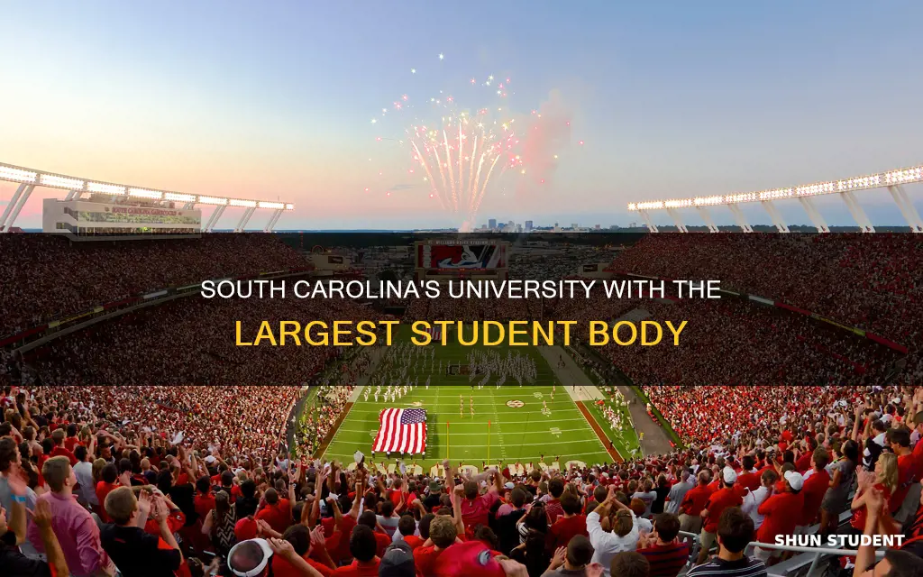 what university has the largest student population in south carolina