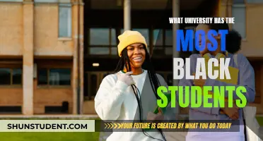 Diverse and Vibrant: Top Universities with High Black Enrollments