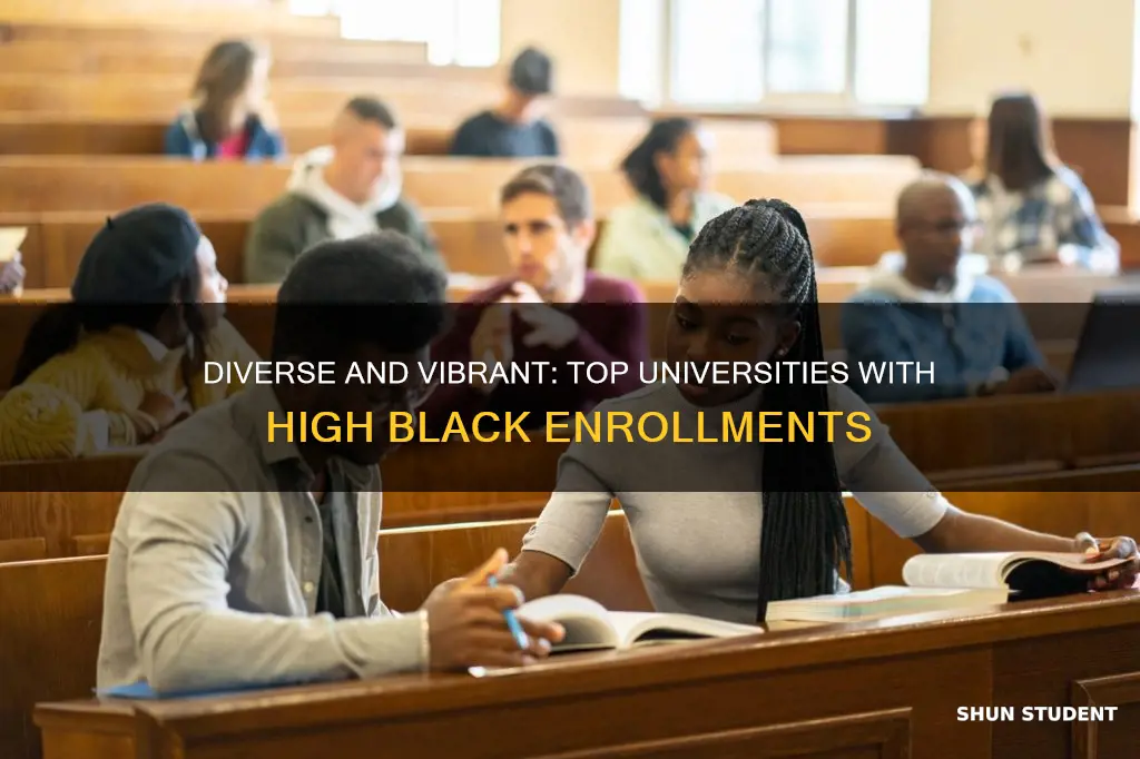 what university has the most black students