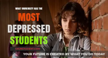 Universities with Depressed Students: Who's at the Top?