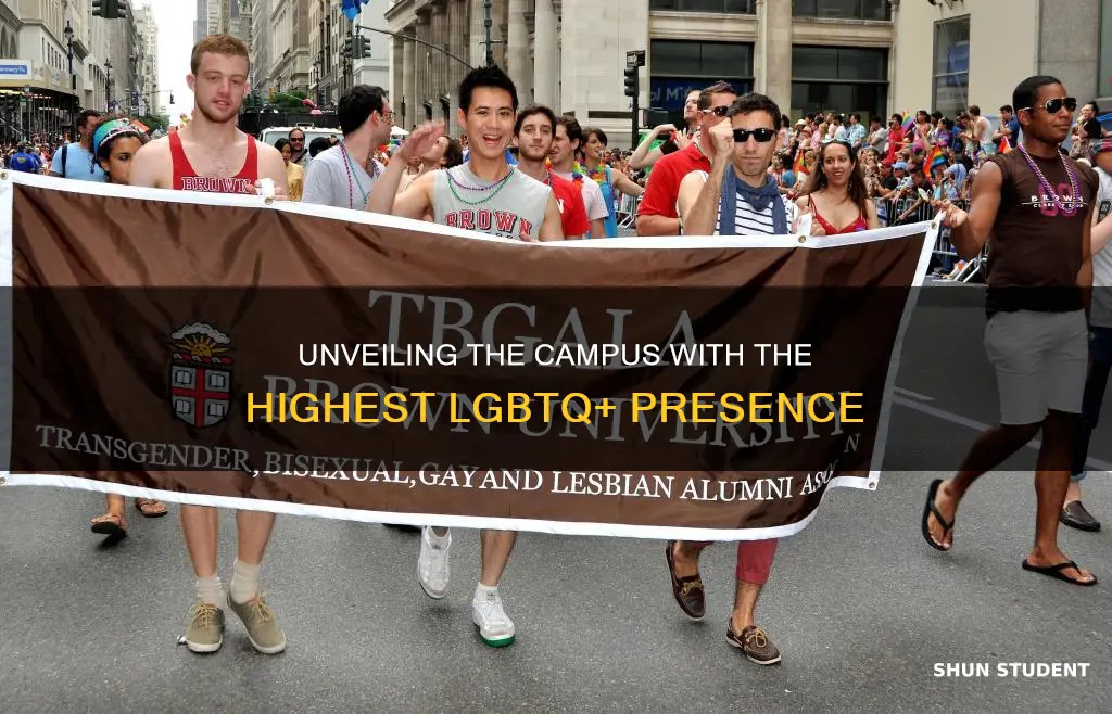 what university has the most gay students