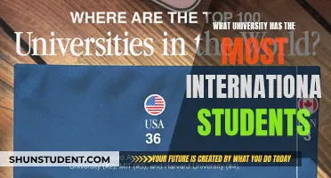 Global Student Diversity: Top Universities for International Enrollees