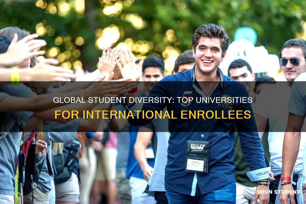 what university has the most international students