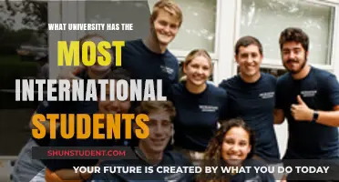 International Students' Preferred University Destination