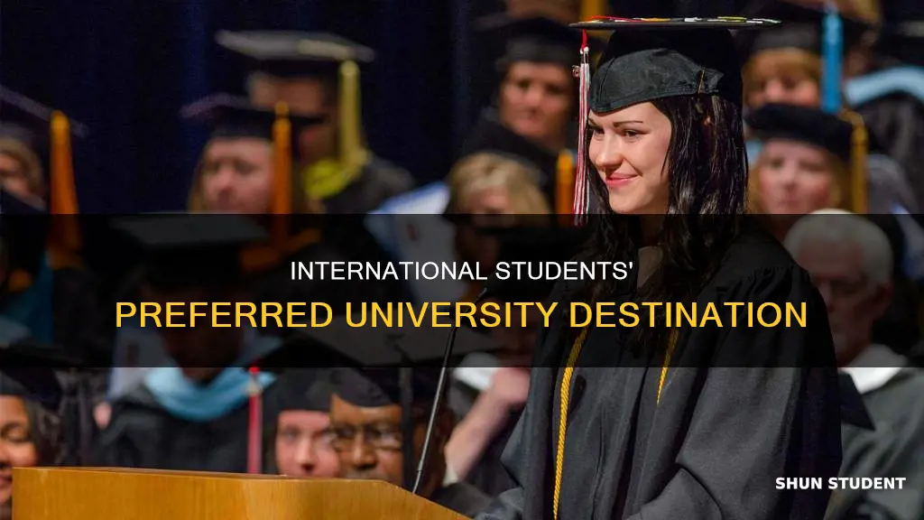 what university has the most international students