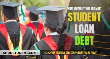 The University with the Highest Student Loan Debt: A Shocking Revelation