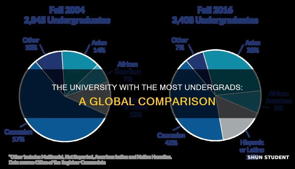 what university has the most undergraduate students