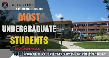 Universities with the Largest Undergraduate Populations