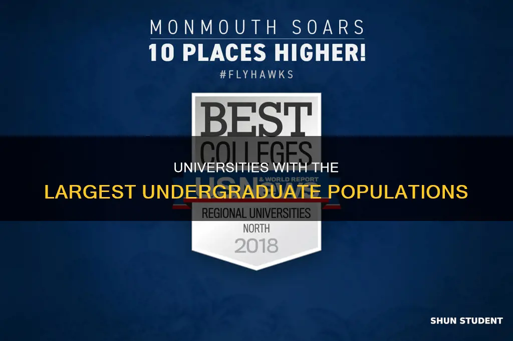 what university has the most undergraduate students