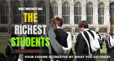 Wealthy Students: The Top Universities for Affluent Undergraduates