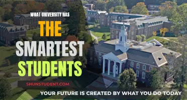 Unveiling the Academic Elite: Which University Produces the Smartest Students?