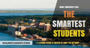 Elite Universities: The Smartest Student Havens